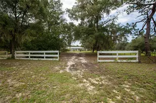 6323 Payne Rd, Keystone Heights, FL 32656 - Photo 9