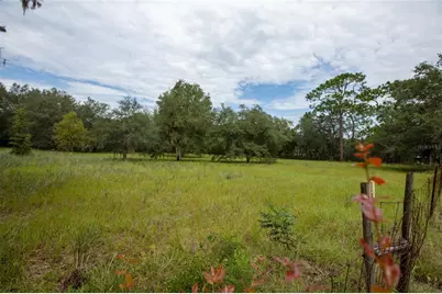 6323 Payne Road, Keystone Heights, FL 32656 - Photo 3