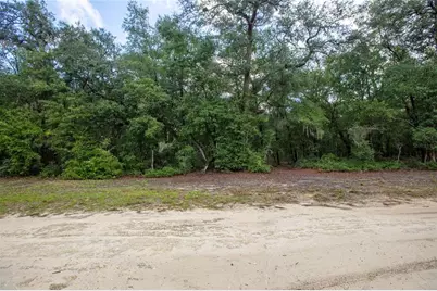 5590 Jenkins Loop Drive, Keystone Heights, FL 32656 - Photo 17