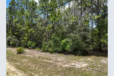 5630 Lassen Street, Keystone Heights, FL 32656 - Photo 7
