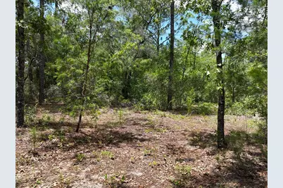 5630 Lassen Street, Keystone Heights, FL 32656 - Photo 11