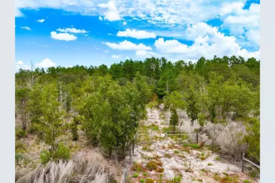 Tbd NE 56th Street, Bronson, FL 32621 - Photo 5