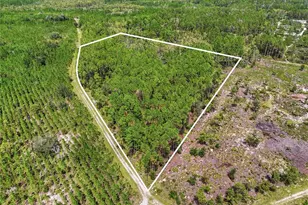 SE 51 Way, Trenton, FL 32693 - Photo 1