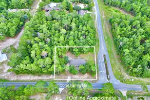 1150 Coral Farms Rd, Florahome, FL 32140 - Photo 35