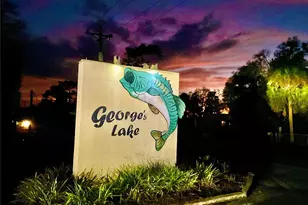 1150 Coral Farms Rd, Florahome, FL 32140 - Photo 47