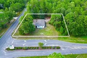 1150 Coral Farms Rd, Florahome, FL 32140 - Photo 3