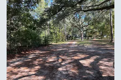 2099 SW 75th Avenue, Bell, FL 32619 - Photo 47