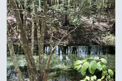 2099 SW 75th Avenue, Bell, FL 32619 - Photo 35
