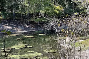 2099 SW 75th Ave, Bell, FL 32619 - Photo 31