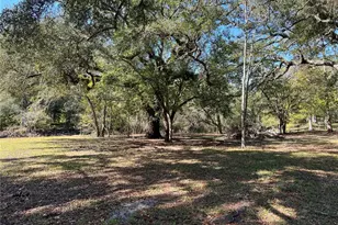 2099 SW 75th Ave, Bell, FL 32619 - Photo 17