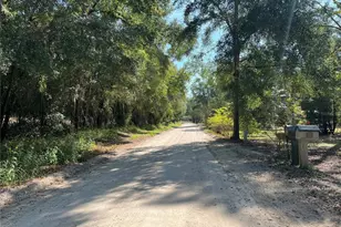 2099 SW 75th Ave, Bell, FL 32619 - Photo 73