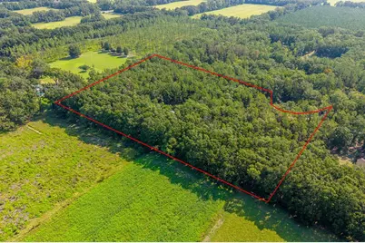 6351 NW 15th Street, Bell, FL 32619 - Photo 3