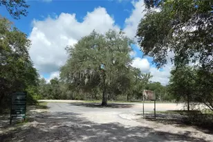 1252 NW 78th Ave, Bell, FL 32619 - Photo 27