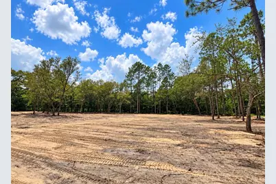 Tbd NE 88th Lane, Bronson, FL 32621 - Photo 1