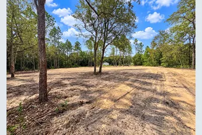 Tbd NE 88th Lane, Bronson, FL 32621 - Photo 3