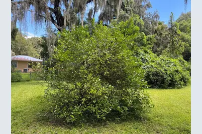 Tbd Avenue H, Mc Intosh, FL 32664 - Photo 11