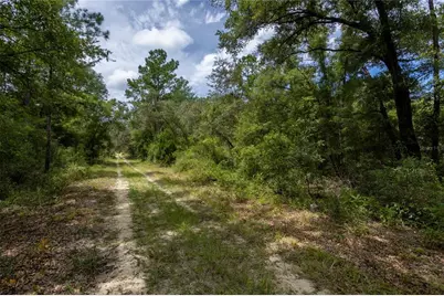 0 NE 81st Street, Bronson, FL 32621 - Photo 1