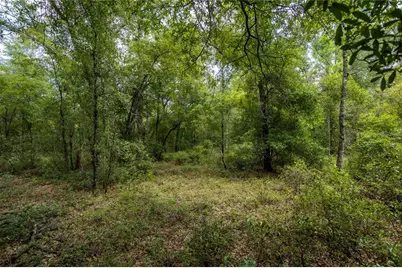 0 NE 81st Street, Bronson, FL 32621 - Photo 3