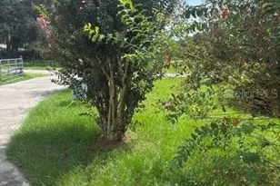 15720 SE 27th Ave, Summerfield, FL 34491 - Photo 55