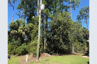 55 Ryecliffe Drive, Palm Coast, FL 32164 - Photo 3