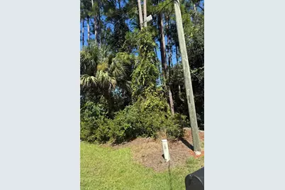 55 Ryecliffe Drive, Palm Coast, FL 32164 - Photo 5