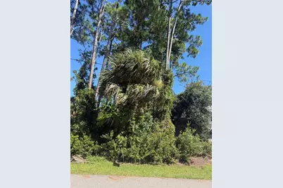 55 Ryecliffe Drive, Palm Coast, FL 32164 - Photo 7