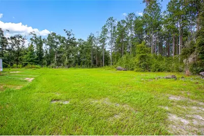 243 SW Reigel Court, Lake City, FL 32024 - Photo 11
