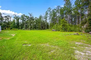 243 SW Reigel Ct, Lake City, FL 32024 - Photo 11