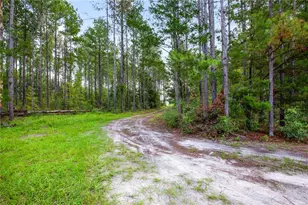 243 SW Reigel Ct, Lake City, FL 32024 - Photo 9
