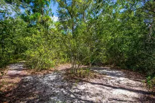 4671 SW 80th Way, Lake Butler, FL 32054 - Photo 45
