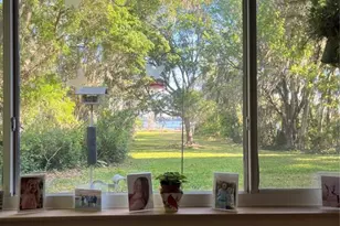 16928 NE 120th Ave, Waldo, FL 32694 - Photo 5