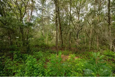 7214 Notre Dame Street, Keystone Heights, FL 32656 - Photo 13