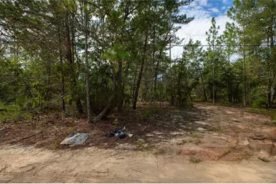 7225 Rutgers Street, Keystone Heights, FL 32656 - Photo 9