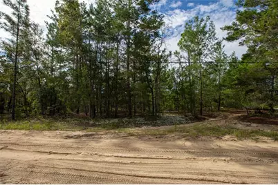 7225 Rutgers Street, Keystone Heights, FL 32656 - Photo 11