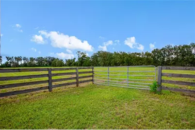5309 NW 15th Street, Bell, FL 32619 - Photo 53