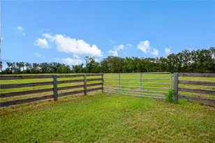 5309 NW 15th St, Bell, FL 32619 - Photo 53