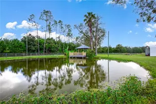 5309 NW 15th St, Bell, FL 32619 - Photo 13