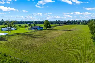 5309 NW 15th St, Bell, FL 32619 - Photo 11
