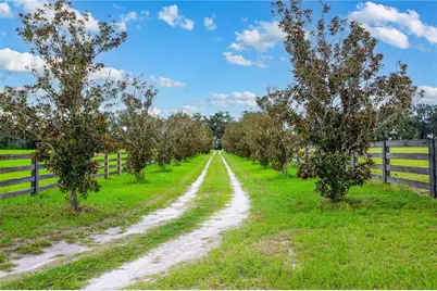 5309 NW 15th Street, Bell, FL 32619 - Photo 49
