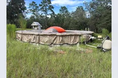 12091 NE 85th Street, Bronson, FL 32621 - Photo 13