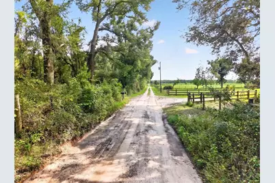 0 173rd Rd, Live Oak, FL 32060 - Photo 5