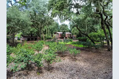 202 Mason Road, Melrose, FL 32666 - Photo 11