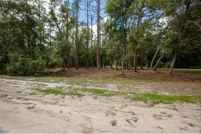 W Hillsborough Avenue, Florahome, FL 32140 - Photo 5
