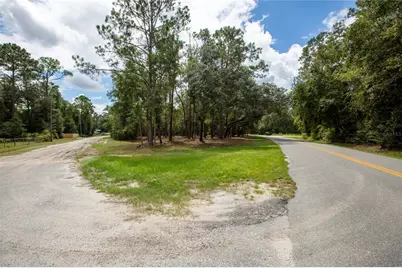 W Hillsborough Avenue, Florahome, FL 32140 - Photo 3