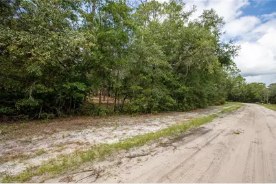W Hillsborough Avenue, Florahome, FL 32140 - Photo 7