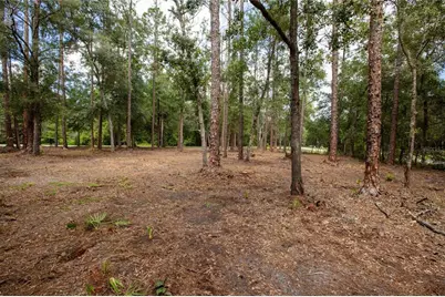 W Hillsborough Avenue, Florahome, FL 32140 - Photo 9