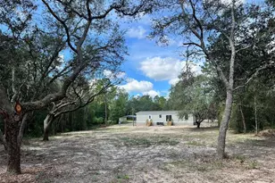 11691 NE 106th Ct, Archer, FL 32618 - Photo 37