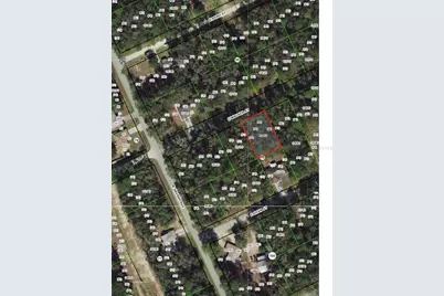 3676 E Walker Street, Inverness, FL 34453 - Photo 3