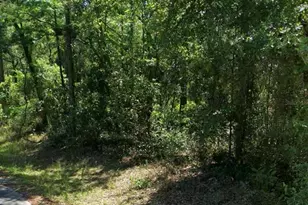 3676 E Walker St, Inverness, FL 34453 - Photo 1