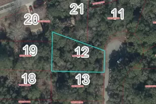 Lot 12 NE 152nd Terrace, Williston, FL 32696 - Photo 1